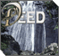 The Deed: Taharah